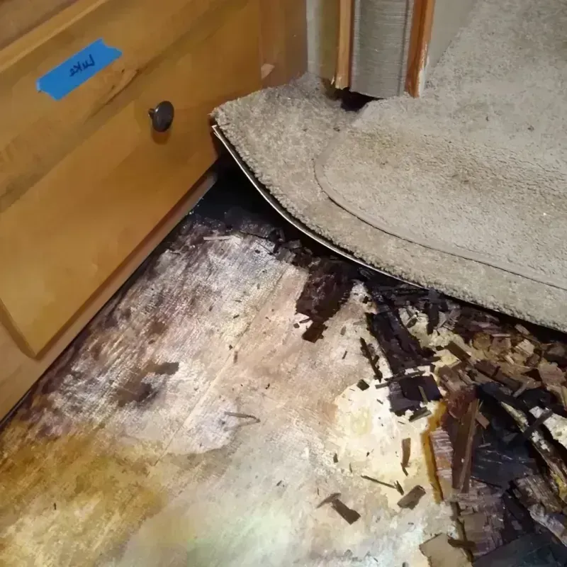 Wood Floor Water Damage in Alpine, CA